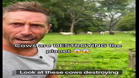 Cows Causing Climate Change??
