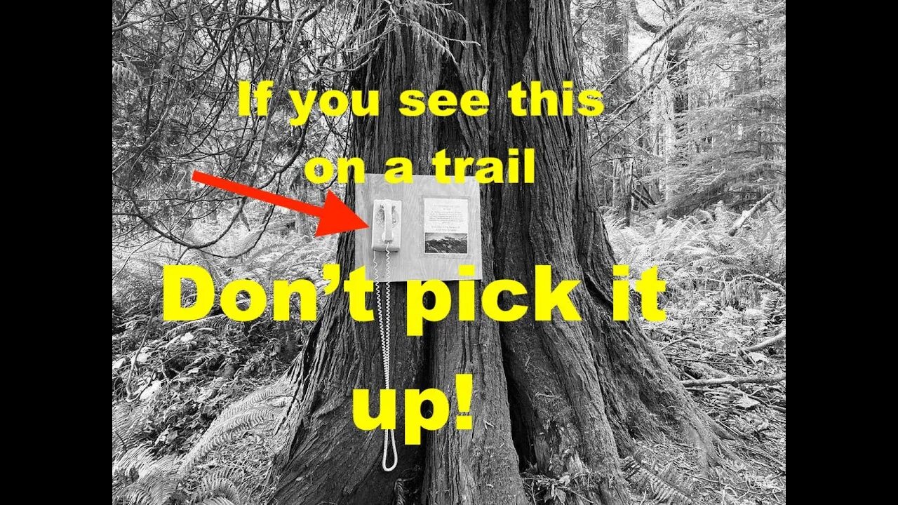 Using a Wind Phone in the Forest or Nature Trail **BEWARE**