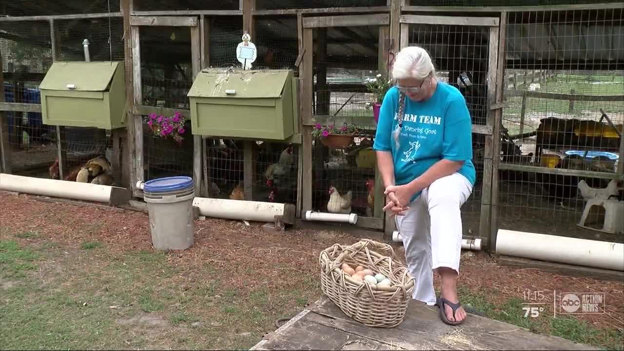 Tampa farmer urges customers to shop and buy local