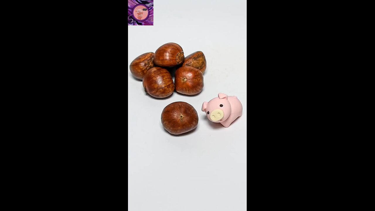 asmr anime toy