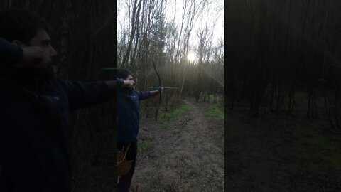 77lbs SALUKI BOW