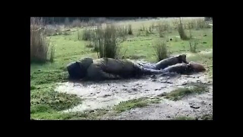 Videos i found on Reddit #2