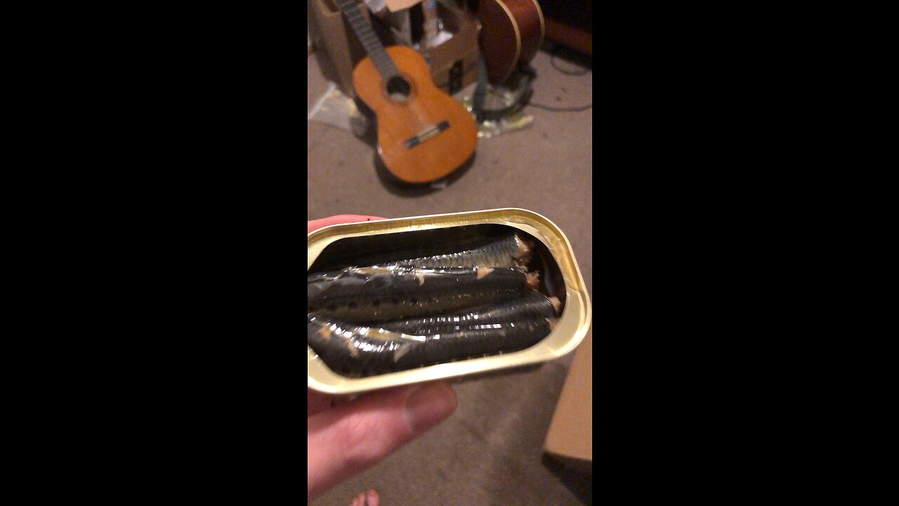 Wild planet high quality sardines