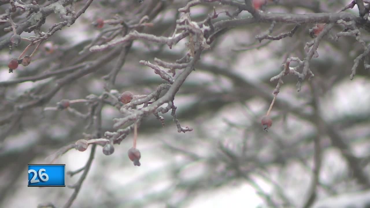 Snow, sleet, and freezing rain impacting roads