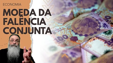GOVERNOS LULA e FERNANDEZ ANUNCIAM planos para uma MOEDA COMUM com o BRASIL para AJUDAR a ARGENTINA