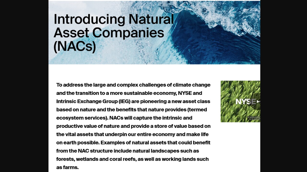 Corporates owning the rights to the air we breathe? Natural Asset Companies explored.