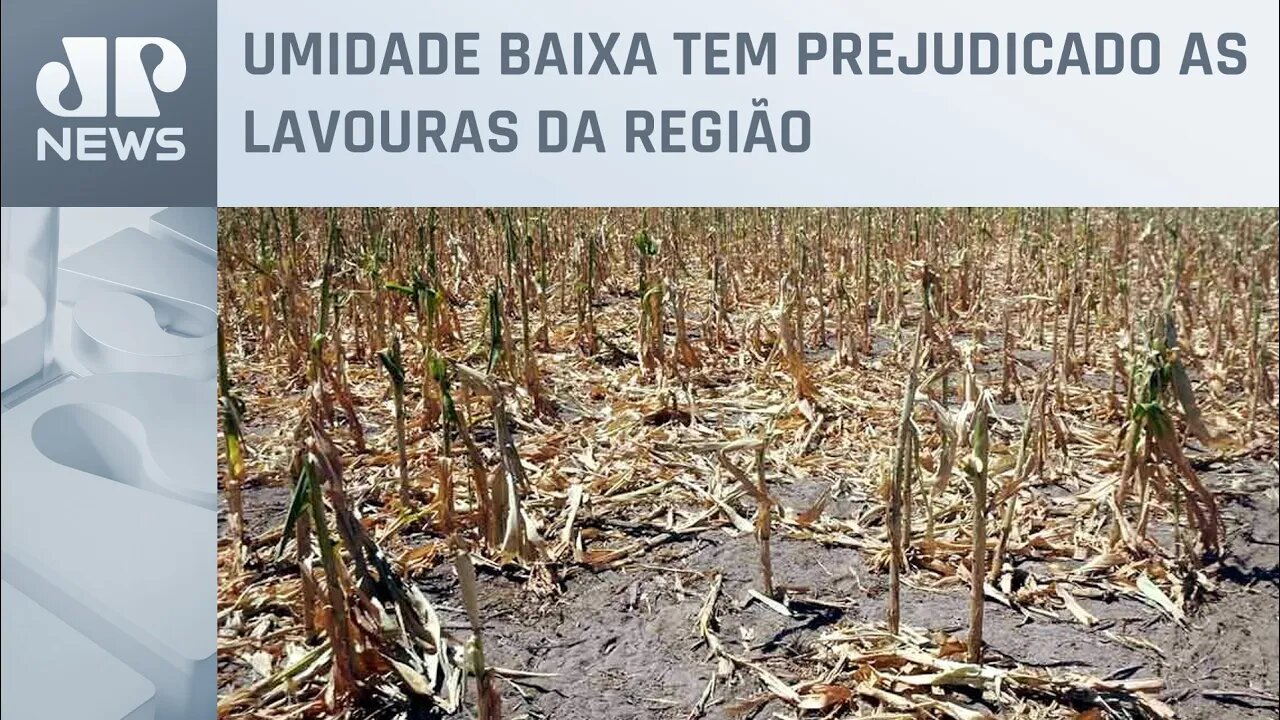Argentina tem a maior seca registrada dos últimos 60 anos