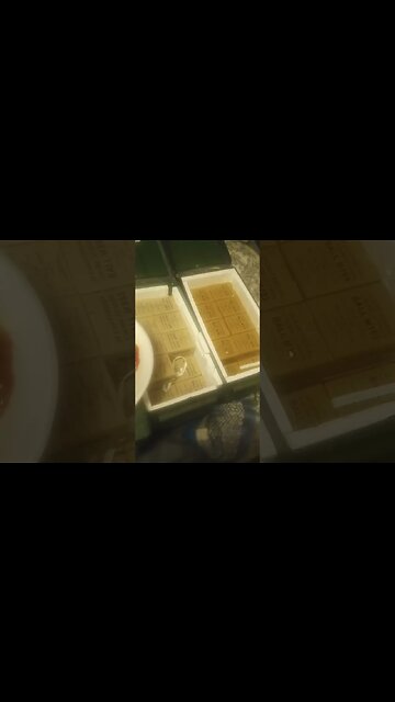 can't beat a home cooked meal #thefreeamerican