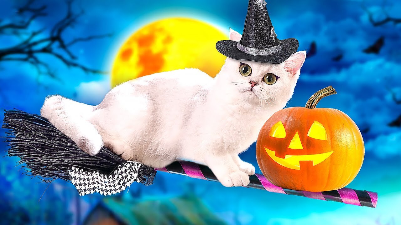 CATS TRICKS and TREATS TALES