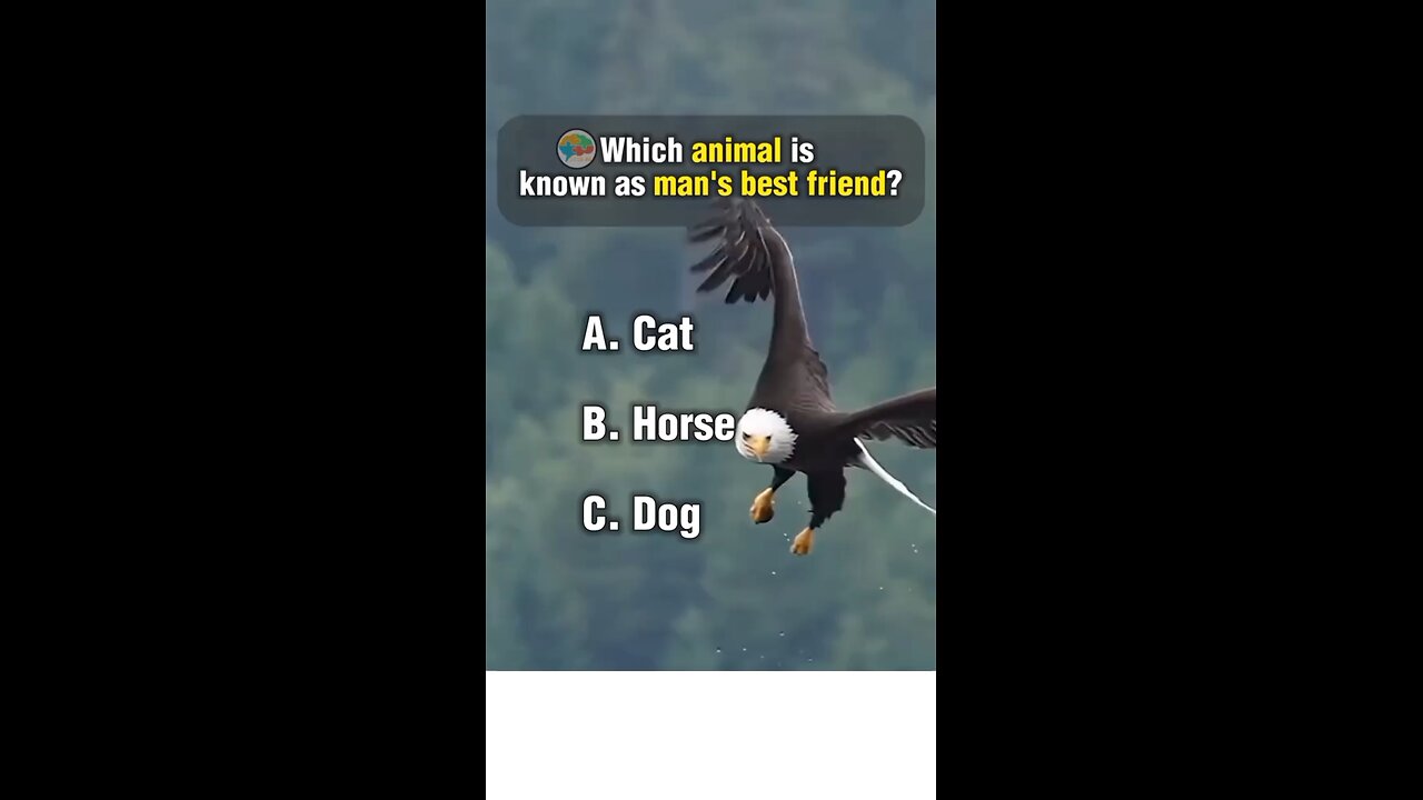 Animal quiz questions and answers.