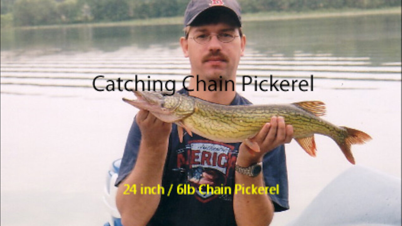 Catching Chain Pickerel