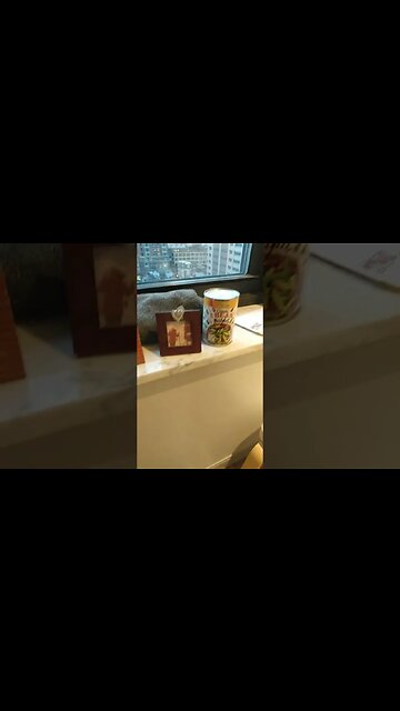 surplus of green beans?