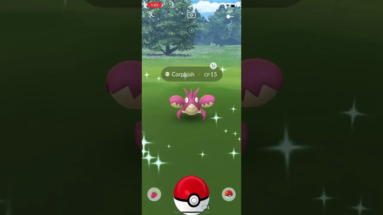 Shiny Compilation