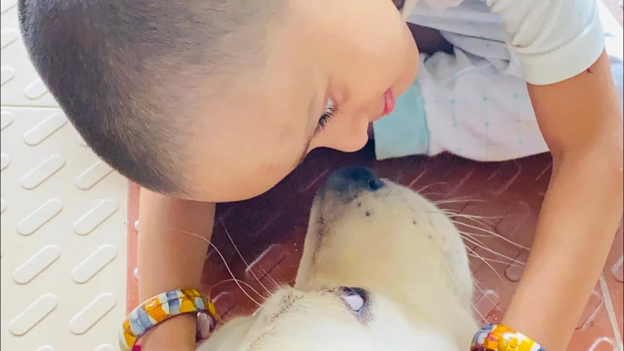 P.O.V. A 36 Year old Guy making GRWM Videos with his Niece and his Dog 🙄 #goldenretiever