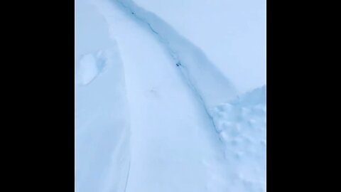 Walkway through the snow