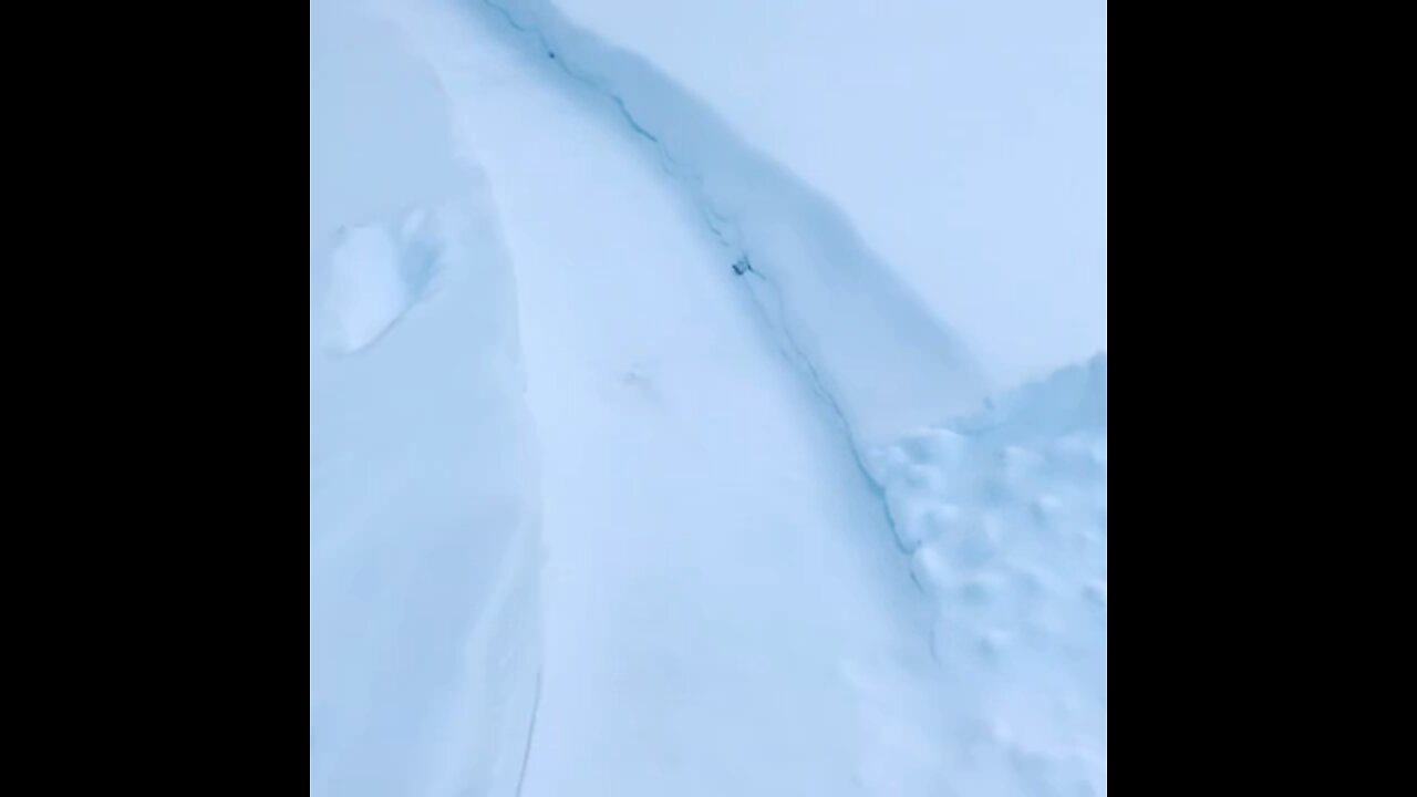 Walkway through the snow