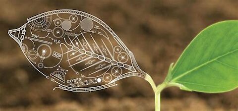 Synthetic Biology: Genetic Manipulation Like Software Design