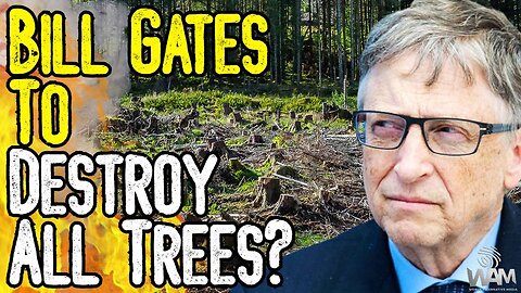 Bill Gates Wants To DESTROY ALL TREES In The Name Of Climate Change? - This Is INSANITY!