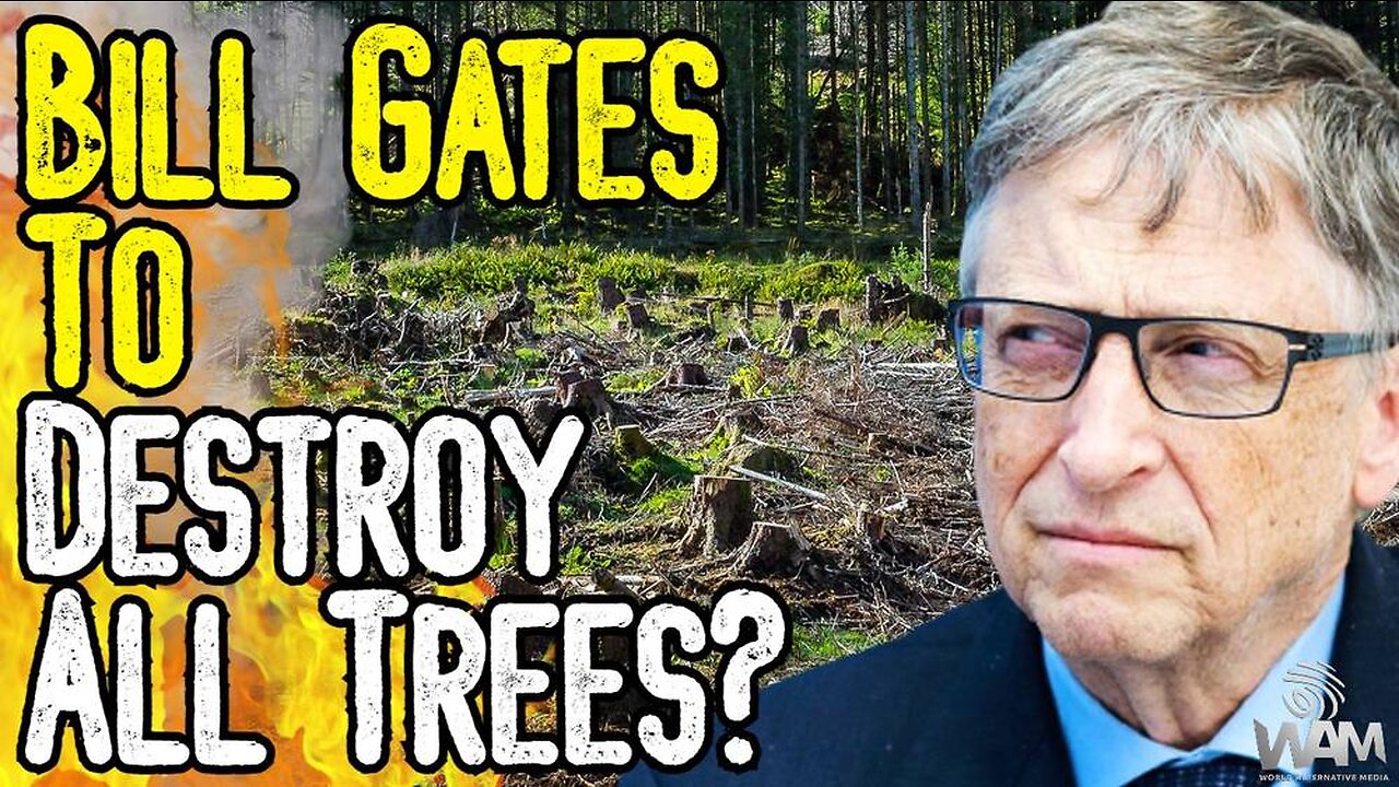 Bill Gates Wants To DESTROY ALL TREES In The Name Of Climate Change? - This Is INSANITY!