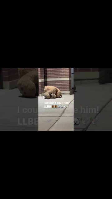 The purge has started in Chicago!