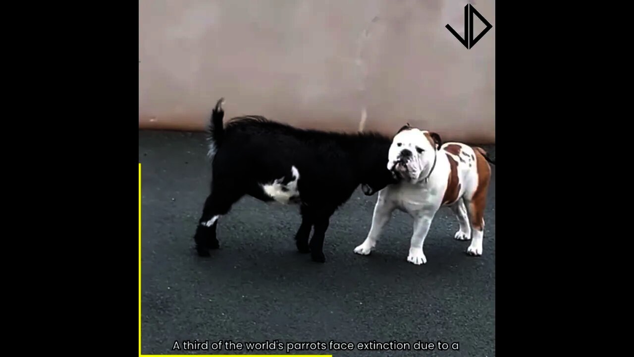 These moments are comedy 😂😂