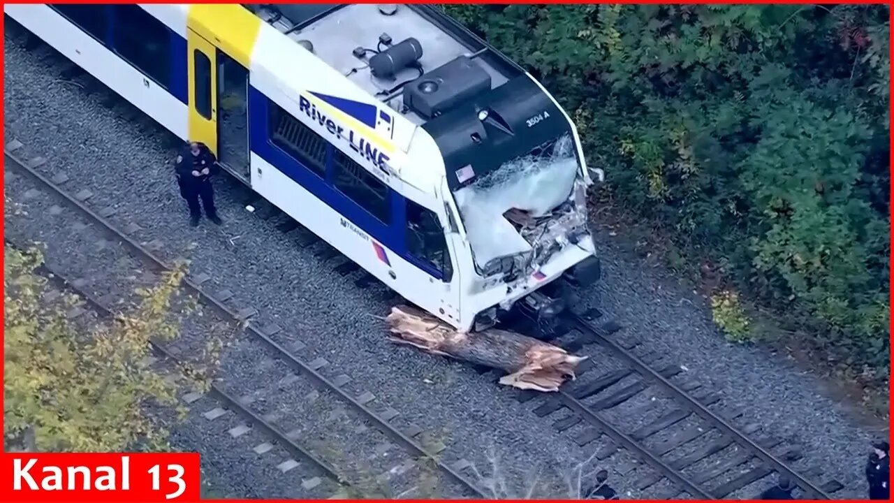 Operator dies and more than a dozen passengers hurt as commuter train hits tree