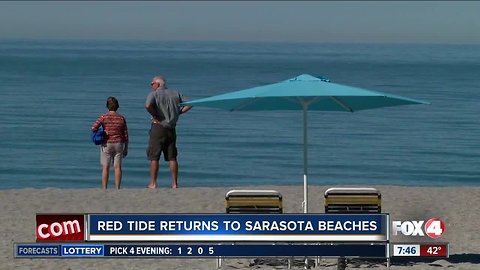 Red tide returns to Southwest Florida