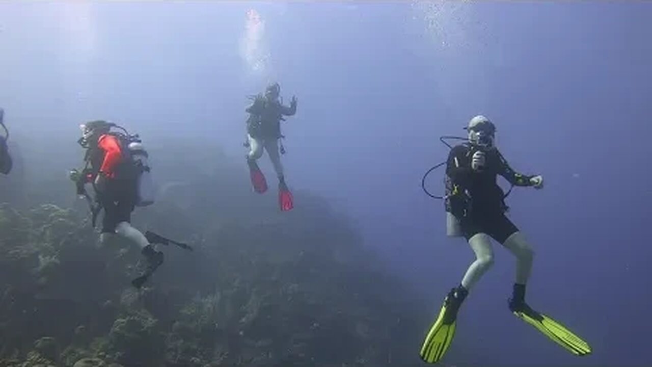 Roatan Diving 2023