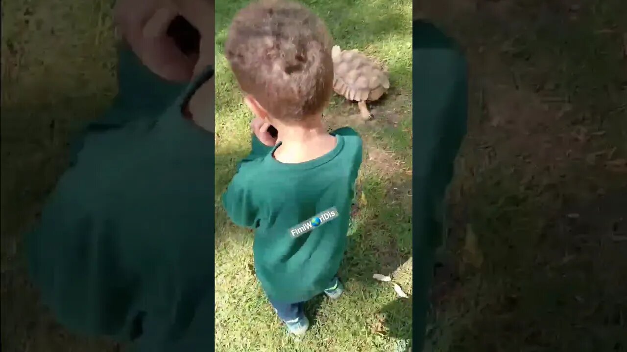 Touched a Tortoise