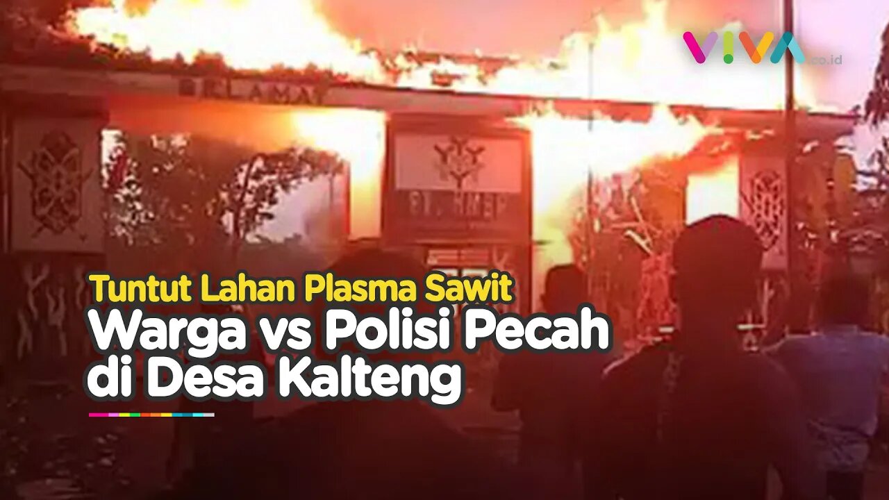 Ribuan Warga Kalteng Vs Polisi Bentrok! Sejumlah Rumah Dibakar