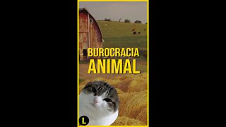 O Fazendão: a BURROCRACIA ESTATAL no mundo animal - parte 2 - #shorts