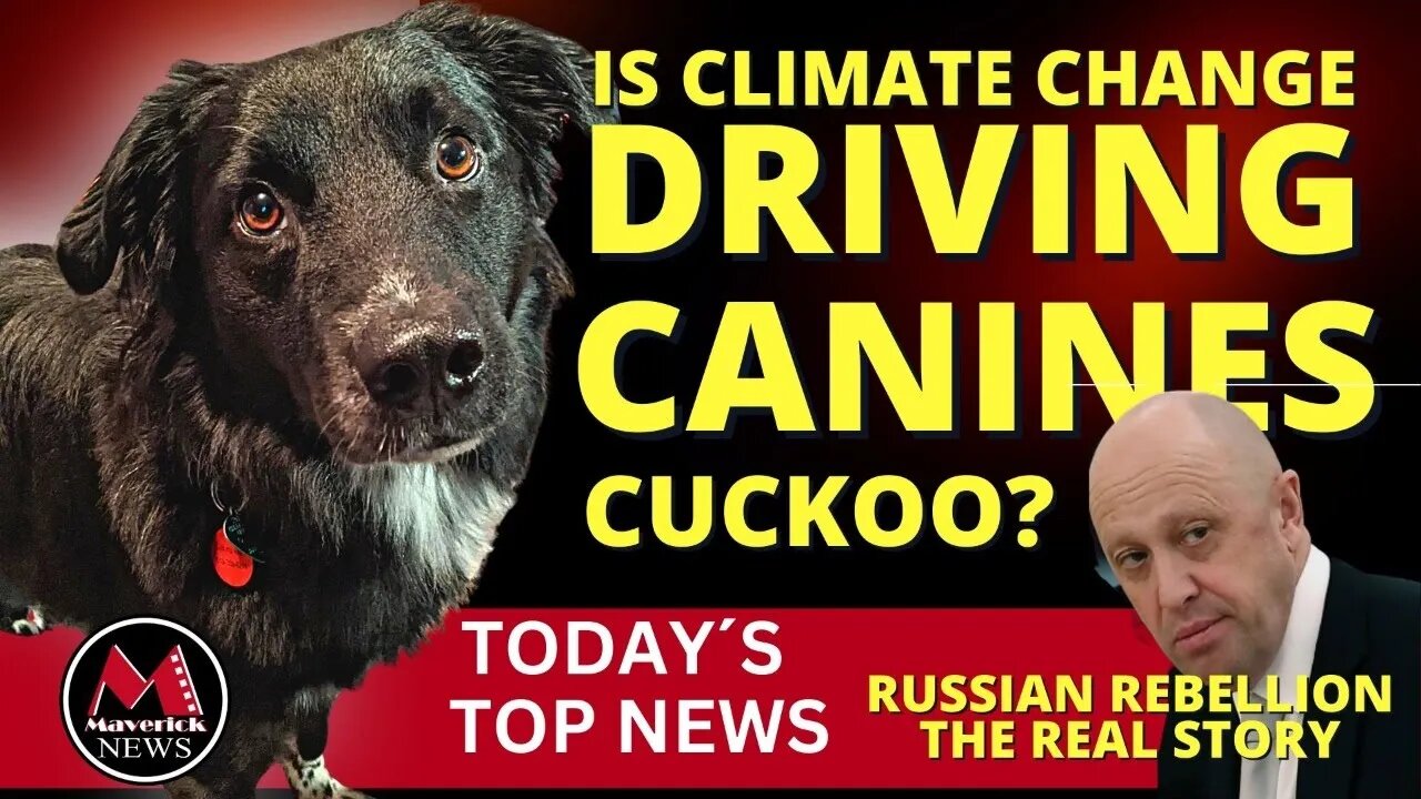 Russian Coup Attempt Aftermath | Climate Change & Canines | Maverick News Live