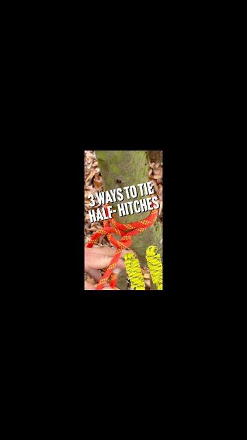 How do you Half-Hitch? #shorts #knots #camping #knot