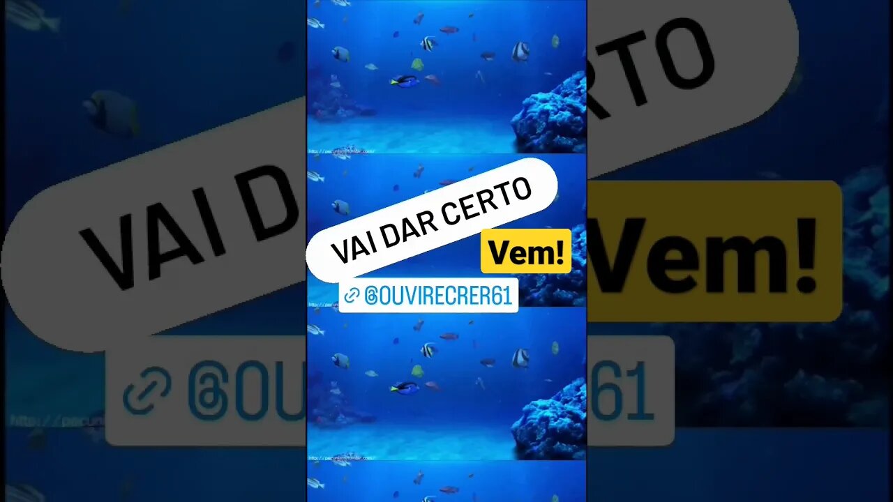 você merece o melhor.