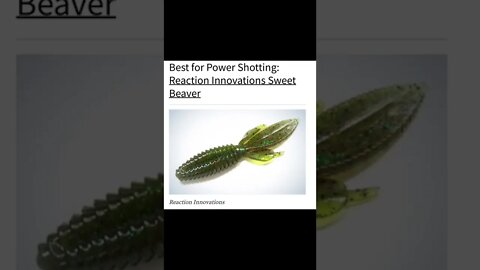 Best Drop Shot Baits
