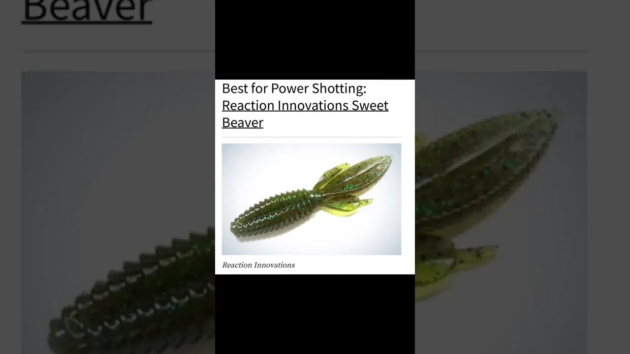Best Drop Shot Baits