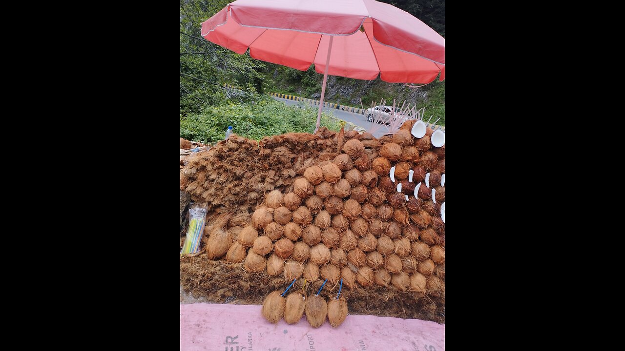 "Revealing the Art of Fresh Coconut Opening: A Roadside Delight!"