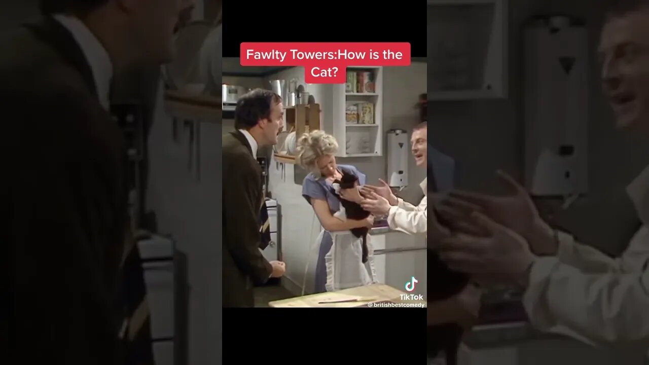 Fawlty Towers How Is The Cat 🐱 Part 1 #FawltyTowers #Classic #British #Comedy