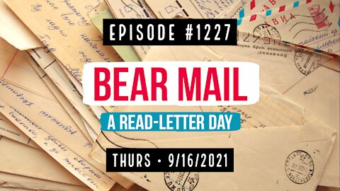 #1227 Bear Mail, A Read-Letter Day