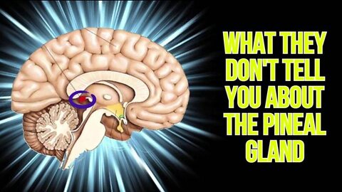 What They Don't Tell You About The Pineal Gland