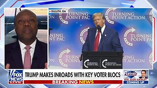 Sen. Tim Scott: Democrats are losing their minds because they're losing voters