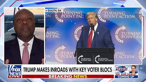 Sen. Tim Scott: Democrats are losing their minds because they're losing voters