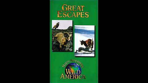 Marty Stouffer's Wild America: Great Escapes (1993)