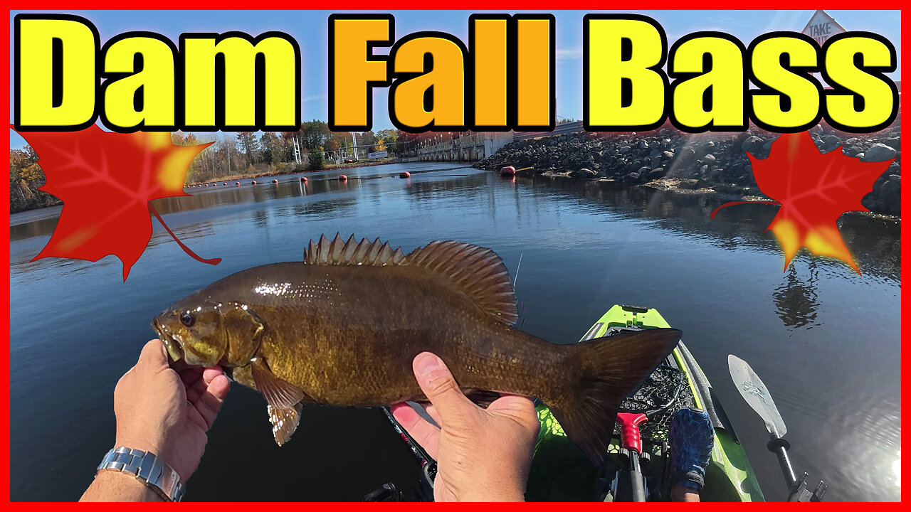 Dam Fall Bass