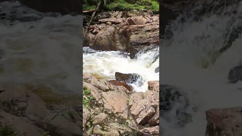 The river Cour Scotland