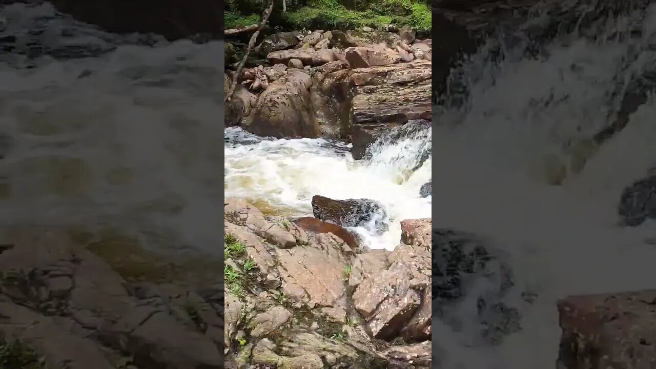 The river Cour Scotland