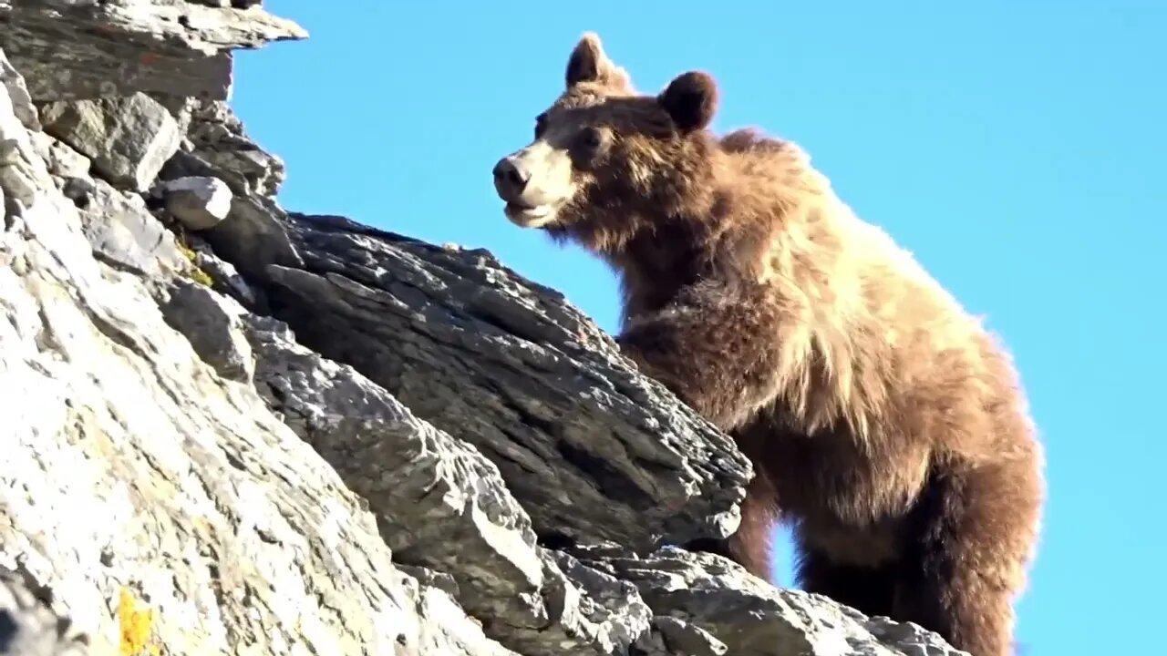 Unexpected Surprises On Highline Trail