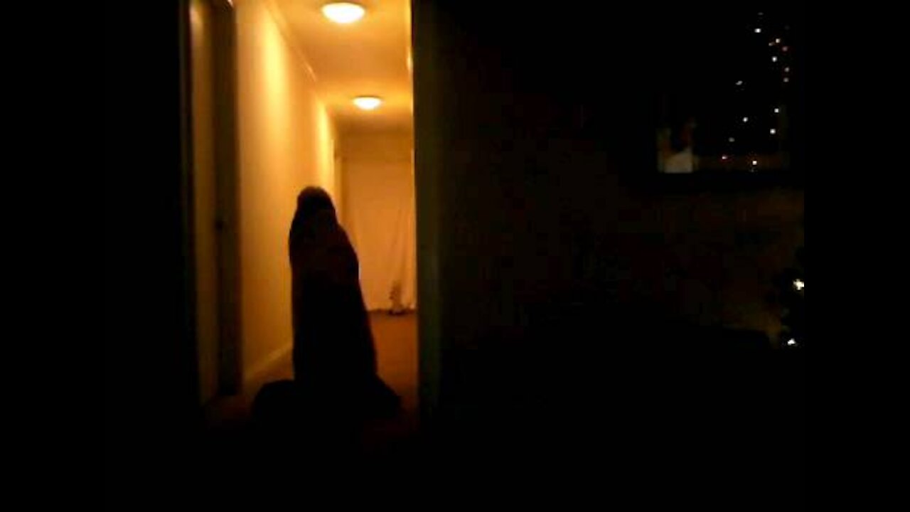 Hallway scares boy II