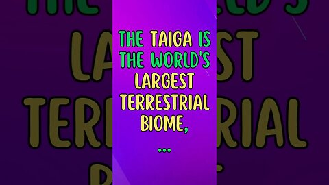 🌲Discover Fascinating Nature Facts👀#shorts #shortsfact #naturefacts #taiga #biome