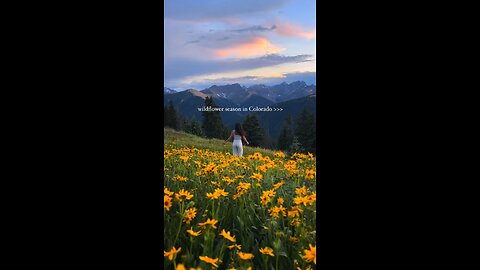 New favorite state unlocked 💙🌼 #colorado #coloradolife #coloradogram